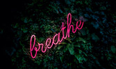 Breathe in Healthy Air
